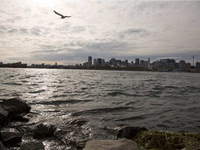 montreal-que-october-19-2015-the-st-lawrence-river-lo