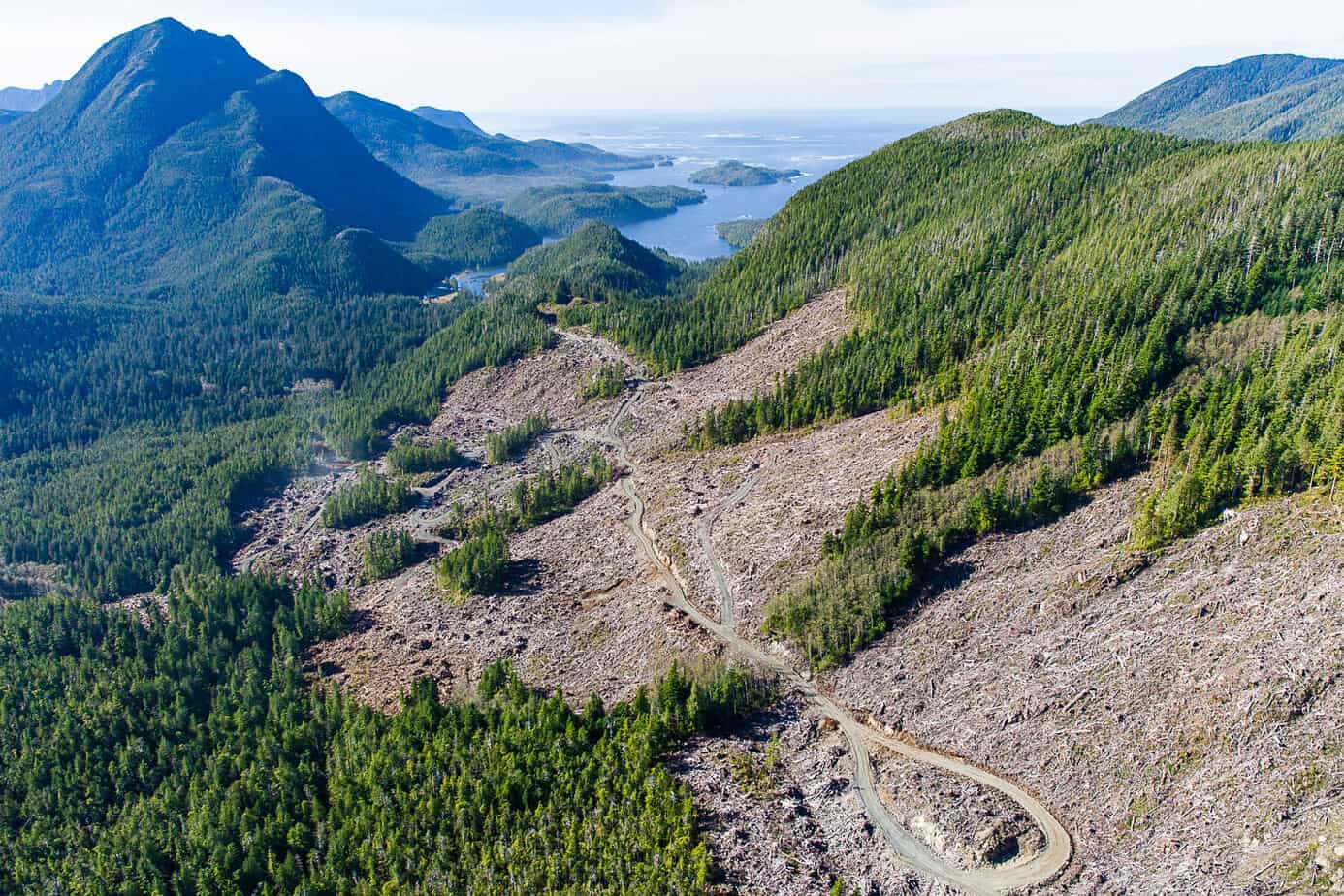 east-creek-logging-tj-watt
