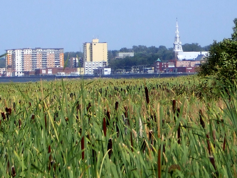 Rimouski_2013
