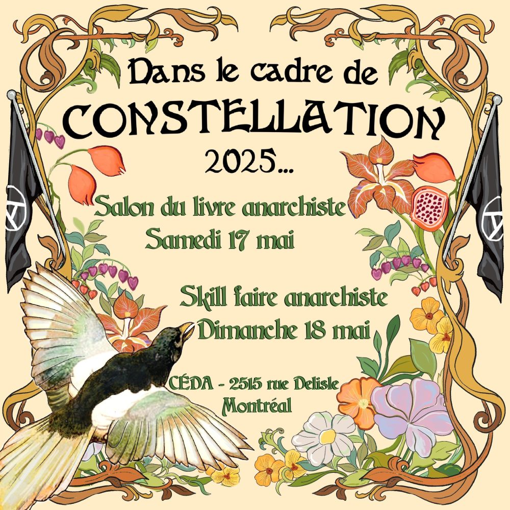 constellation_2025