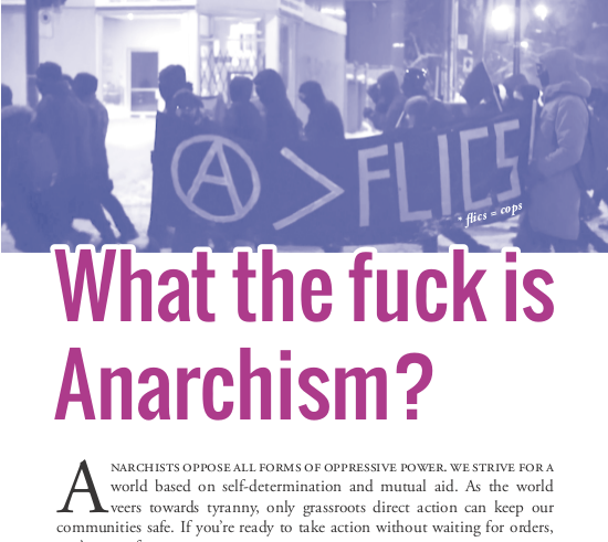 L’anarchie : What The Fuck?