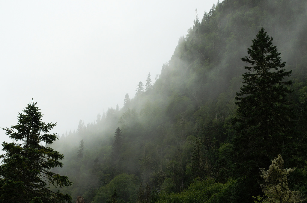 Panorama des luttes passées et à venir en Gaspésie