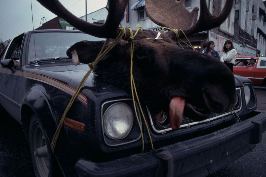 Les Trophy Hunters et les barrages routiers sur la 117