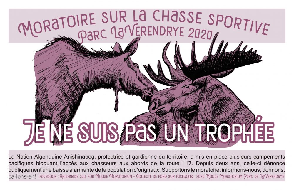 Affiche : Supportons l’appel Anishnabeg pour un moratoire à la chasse à l’orignal dans le Parc La Vérendrye