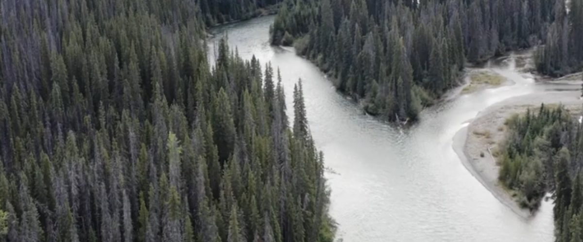 Protégeons les sources d'eau ! Résistance Wet'suwet'en à Coastal Gaslink
