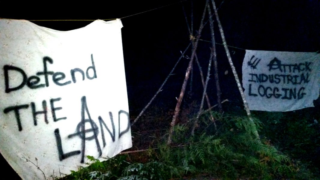 Blocage autonome contre l'exploitation forestière sur la soi-disant Île de Vancouver