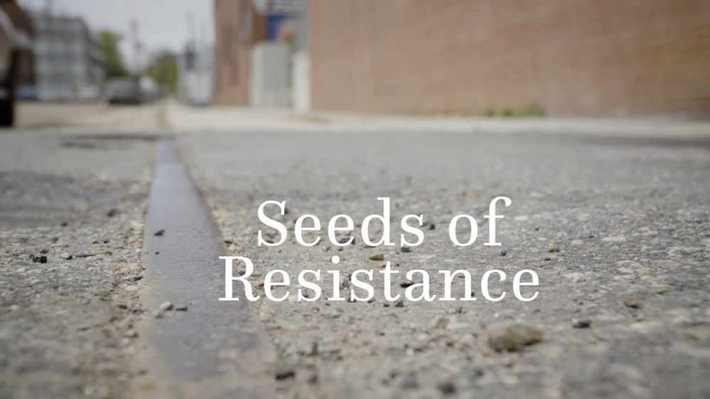 Semer la résistance : une nouvelle ressource pour la défense des territoires