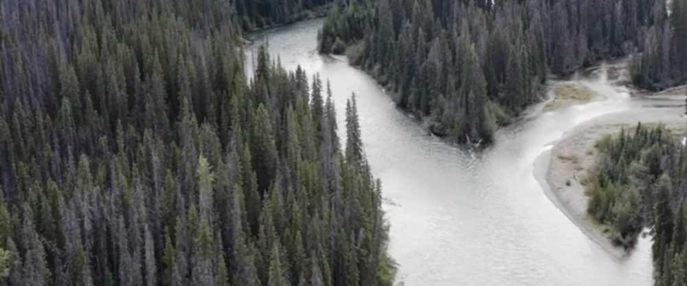 Protégeons les sources d’eau ! Résistance Wet’suwet’en à Coastal Gaslink