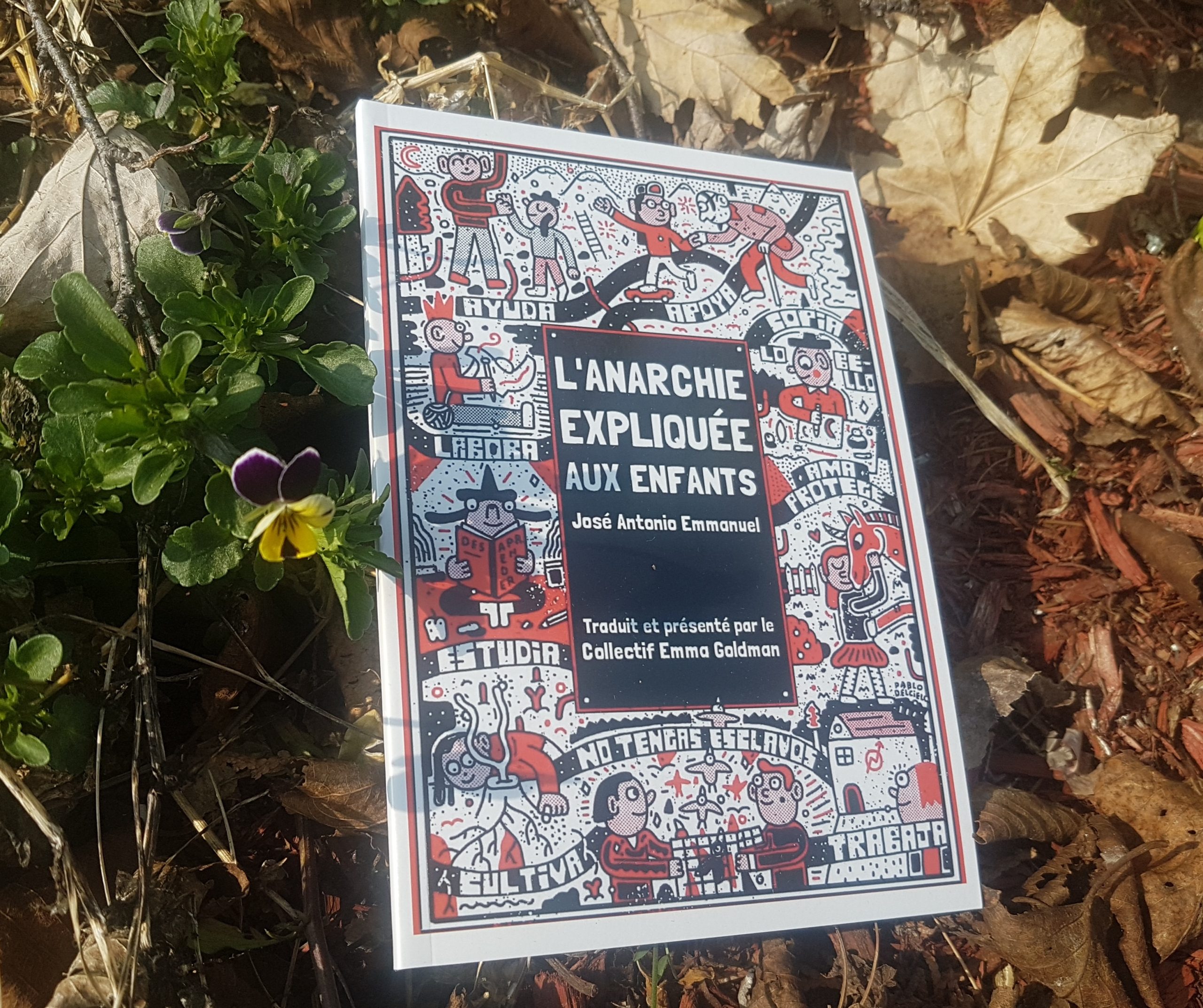 L’Anarchie expliquée aux enfants : Publication d'un nouveau livre par le Collectif Emma Goldman