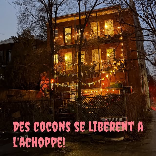 L'Achoppe recherche de nouveau.elles colocs!